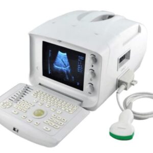 Portable Ultrasound Scanner with Convex Probe AJ-6100B