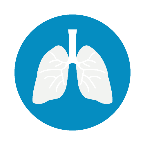 Neonatal respiratory icon